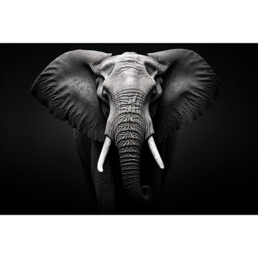 Black and White Elephant Painting